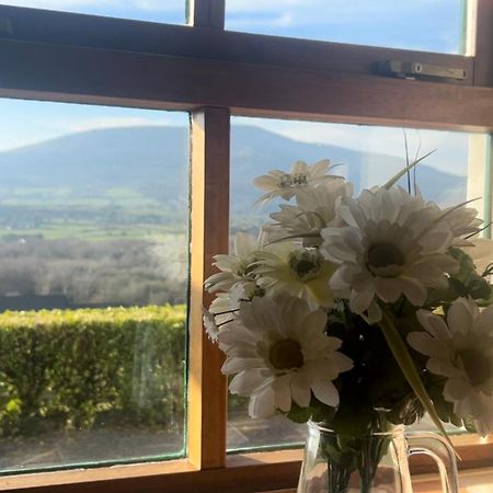 Yewwood Cottage Newry Buitenkant foto